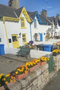 Nabolaget omkring feriehuset eller i nærheden + 32 billeder