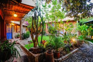 a garden in front of a house with plants at Casa Aurora Garden Retreat in Ajijic