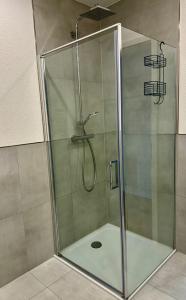 una ducha con puerta de cristal en un baño en AIL Hall Apartment, en Schwäbisch Hall