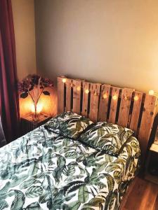 een slaapkamer met een bed met een groene deken en verlichting bij Superbe appartement T3 dans l'hyper centre in Blois +8 foto's