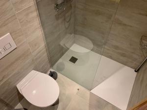 a small bathroom with a toilet and a shower at Appartement centre du village in Saint-Étienne-de-Tinée +10 photos