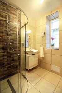y baño con ducha acristalada y lavamanos. en Arhivelor Apartment en Sibiu