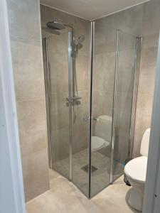 a glass shower in a bathroom with a toilet at Small studio with everything you need in Tromsø