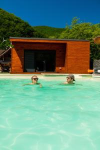 Πισίνα στο ή κοντά στο Wooden Chalet Retezat