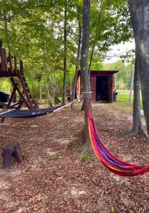 a hammock tied to a tree in a forest at Vikendica Novska planina in Rudice
