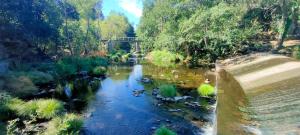 Příroda nedaleko apartmánu + 6 fotografií