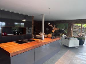 Kuchyňa alebo kuchynka v ubytovaní Pfändertraum Luxus Ferienhaus