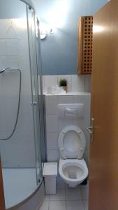 a small bathroom with a toilet and a shower at Taler's Place Auerbach - Self Check In in Auerbach +9 photos