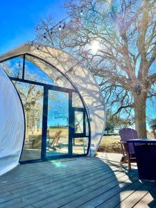 une tente iguane transparente sur une terrasse avec un arbre dans l'établissement Lyra at the Retreat, à Fredericksburg