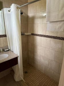 a bathroom with a shower and a sink at Snowbird Motel in Bristol