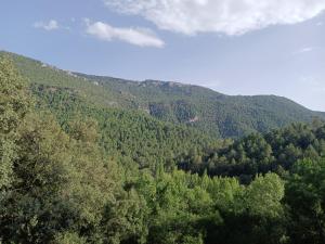 auliculiculiculiculiliculiliculicululiliculiliculiliculicululicululicululicululicululicululicululicululicululicululicululicululicululicululicululicululicululicululicululicululicululicululicululicululicululicululicululicululicululicululicululicul in der Unterkunft Casas rurales Casa Noguera 2 in La Casa de la Noguera