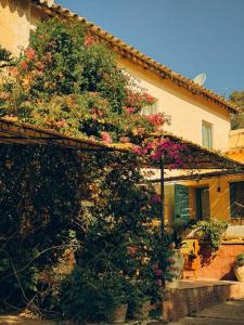A garden outside Corte Boero Bed&Breakfast