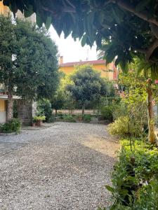 a gravel driveway in a garden with trees and a building at Happy Nest Tuscany in Castiglion Fiorentino