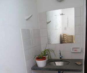 a bathroom sink with a mirror and a potted plant at La Querencia - El Cóndor in Balneario El Condor +12 photos