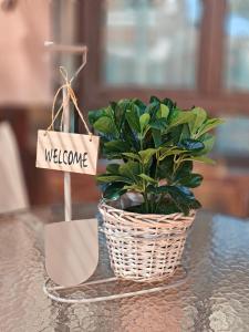 Φωτογραφία από το άλμπουμ του Casa Palmeras σε Gran Tarajal