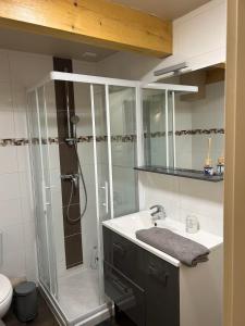 Un baño con ducha de cristal y lavabo. en Loft Bohème et Cosy, en Montauban