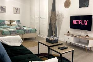 un salon avec un canapé et une télévision dans l'établissement La Petite Fleur - Centre ville, à Niort