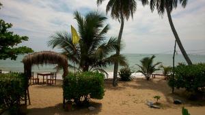 a beach with a table and palm trees and the ocean at Ameena Homestay in Tangalle