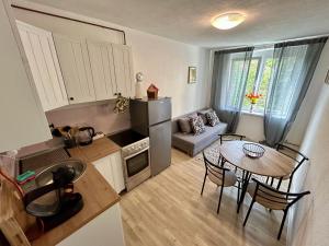 Una cocina o cocineta en Apartman Suncokret