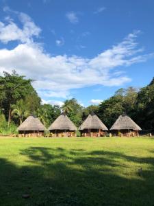a group of huts with grass roofs in a field at Pekkae ecolodge and cafe in Libua