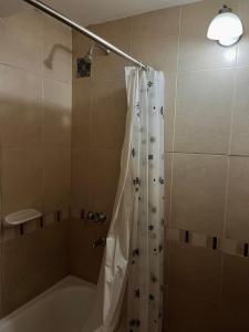 een badkamer met een bad en een douche met een douchegordijn bij Carriles Inn in Mendoza
