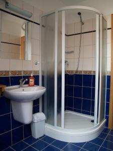 a bathroom with a shower and a sink and a toilet at Penzion Pivovar Vraník in Trnava