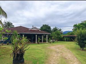 a house with a grass yard in front of it at Homestay Bendang Becah in Baling
