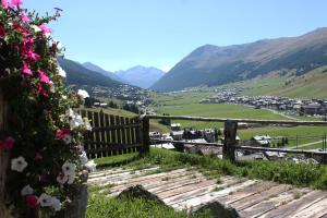 a view of a valley with flowers on a fence at Chalet Charm by Original Galli in Livigno +54 photos
