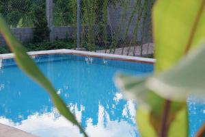 una piscina blu con una pianta in primo piano di Resort Thái An a Cai Be