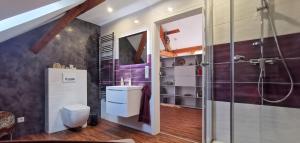a bathroom with a shower and a toilet at Südschwarzwald Ferienhaus für Gruppen & Monteure in Waldshut-Tiengen +64 photos