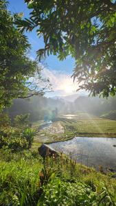 Φυσικό τοπίο κοντά σε αυτό το δωμάτιο σε οικογενειακή κατοικία