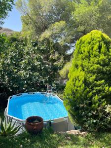 The swimming pool at or close to Casa con encanto