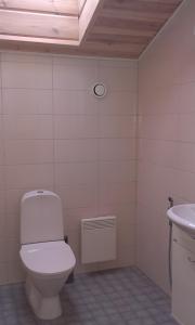a bathroom with a toilet and a sink at Rautjärvi Cottage in Kokkola