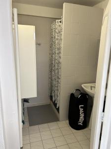 a bathroom with a shower and a black bag at Appartement 29A - MAILLY LE CAMP in Mailly-le-Camp