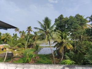 Paddy N Canal Homestay外面的花园