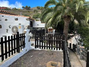 a fence with a palm tree in front of a house at Casa Rural La Vega in Agulo