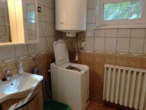 a small bathroom with a sink and a small refrigerator at Holiday home Balatonbereny - Balaton 18030 in Balatonberény +17 photos