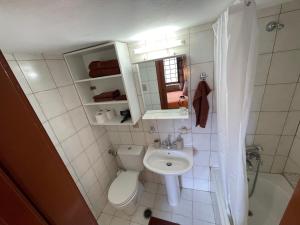 a small bathroom with a toilet and a sink at Leandros Village House in Smárion