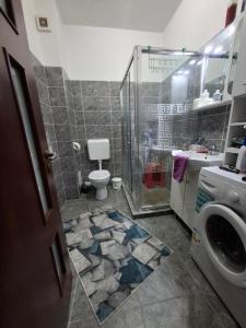 a bathroom with a shower and a toilet and a sink at Casa Grazia in Balta Albă