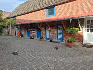 a group of cats sitting outside of a building at -Klärchen- die gemütliche 2P Ferienwohnung in Gedelitz, Wendland Elbe in Trebel