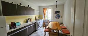 Kuchyň nebo kuchyňský kout v ubytování Ferienwohnung Haus Ryter