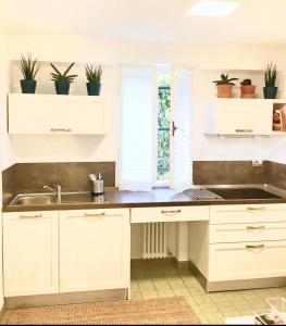 Kuchyň nebo kuchyňský kout v ubytování Casa del Vigneto - NEW near VENICE - rooms+bathroom - INDEPENDENT