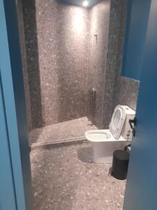 a bathroom with a toilet and a walk in shower at Mp luxury houses Α3 in Larisa