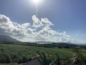 Náttúran í nágrenni gistihússins