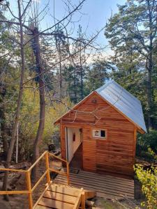 a small wooden cabin with a door in the woods at Tiny House en el bosque in San Carlos de Bariloche +7 photos