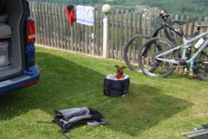 Fotografie z fotogalerie ubytování Weinberg-Panorama- Camping v destinaci Höch