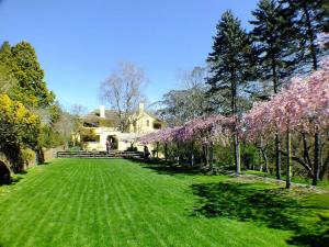 a yard with flowering trees in front of a house at Mountain View Hideout with Stargazing Telescope in Wentworth Falls