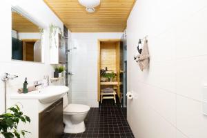 un bagno con un water e un lavandino di Boreal Forest Uittomestari a Rovaniemi Altre 30 foto