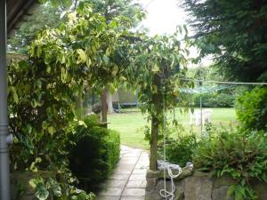 A garden outside Hosefield Bed and Breakfast 