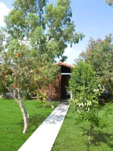 Zahrada ubytování Alicra Hotel Çıralı